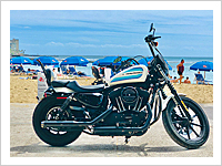 Harley Davidson アイアン1200（ホワイト）