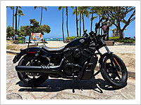 HARLEY DAVIDSON �i�C�g�X�^�[�i�u���b�N�j